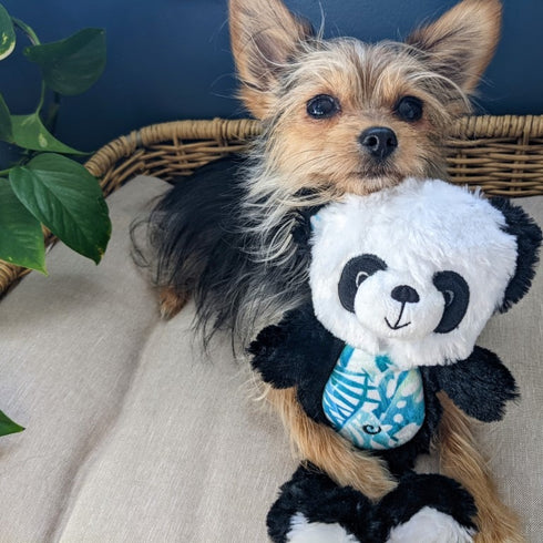 Lulubelles Power Plush Pauly Panda Dog Toy Small - Poudre Pet & Feed Supply 2